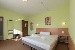 Гостевой дом Vila Rosa 2 Клуж-Напока Двухместный номер с 1 кроватью или 2 отдельными кроватями и собственной ванной комнатой-3